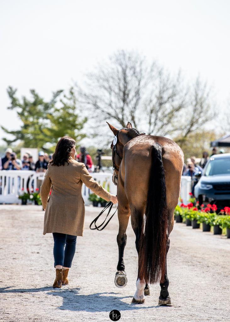 The Amelia Long Sweeping Hem Tweed Jacket - Hound & Hare - Hound & Hare