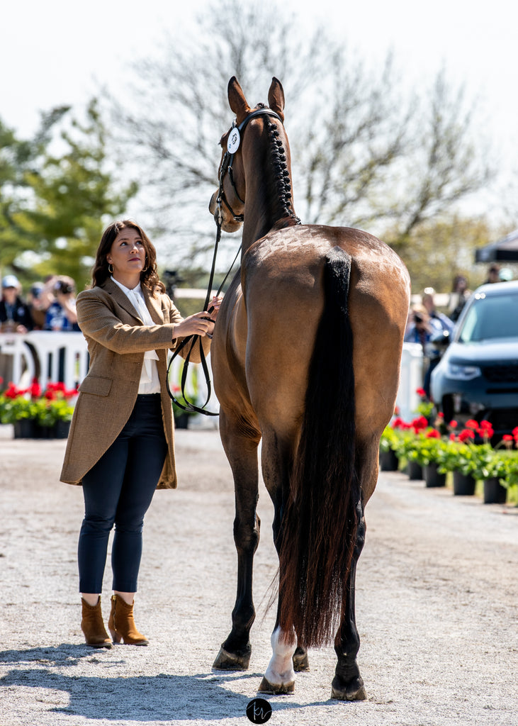 The Amelia Long Sweeping Hem Tweed Jacket - Hound & Hare - Hound & Hare