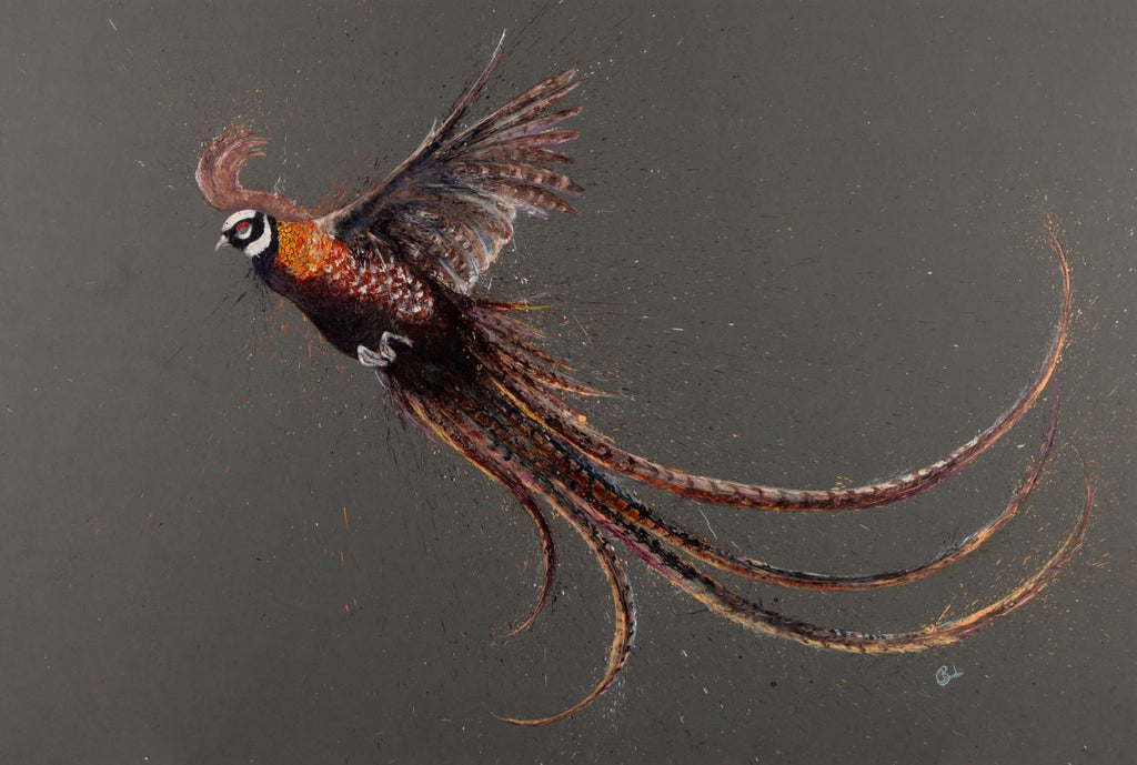 Reeves Pheasant by Clare Brownlow - Hound & Hare