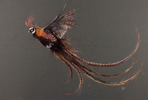 Reeves Pheasant by Clare Brownlow - Hound & Hare