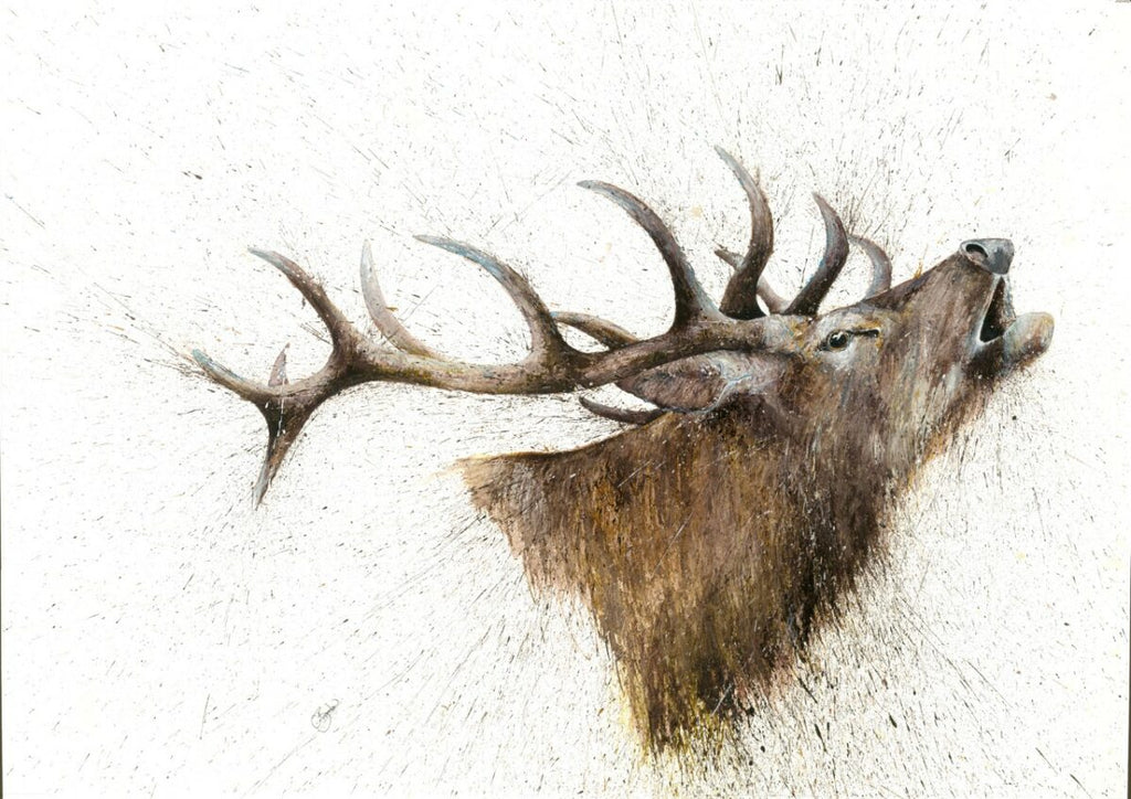 The Roar by Clare Brownlow - Hound & Hare