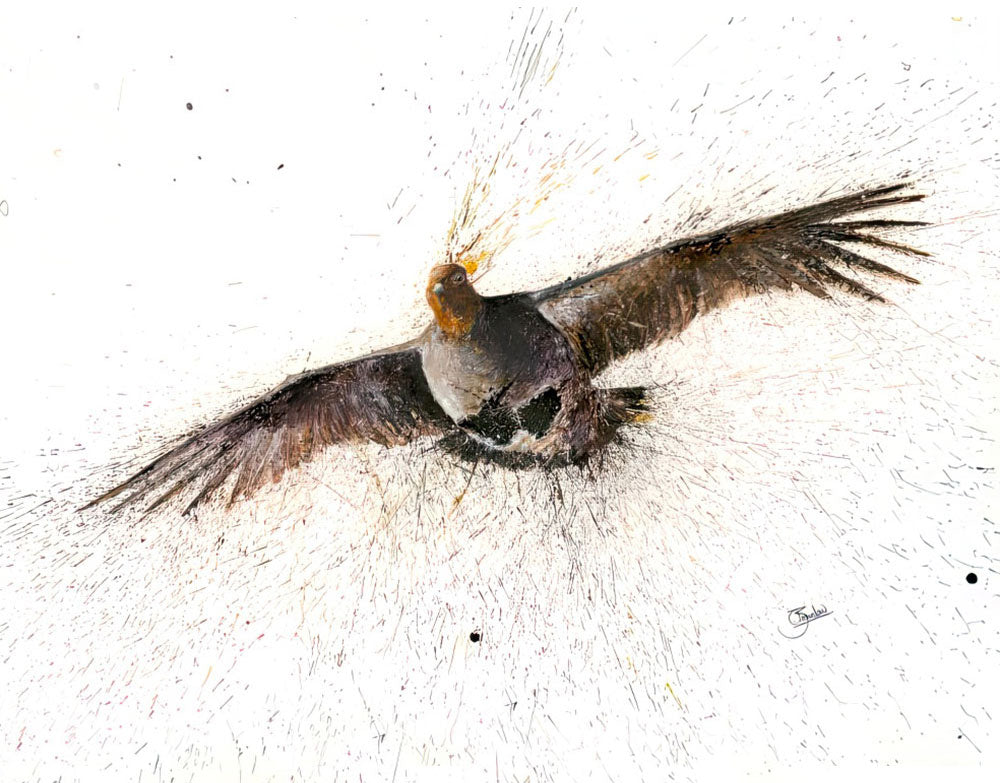 Flying Partridge by Clare Brownlow - Hound & Hare