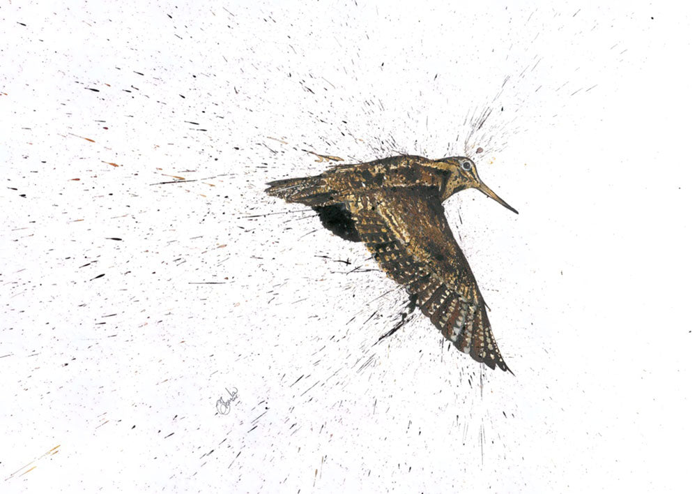 Woodcock by Clare Brownlow - Hound & Hare